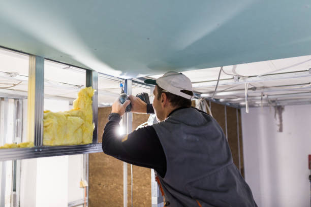Best Blown-in Insulation in Corinth, TX