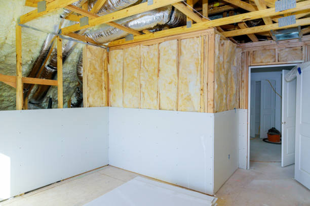 Best Geographic-Specific Insulation Services in Corinth, TX