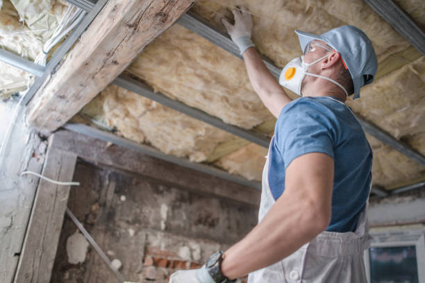 Types of Insulation We Offer in Corinth, TX